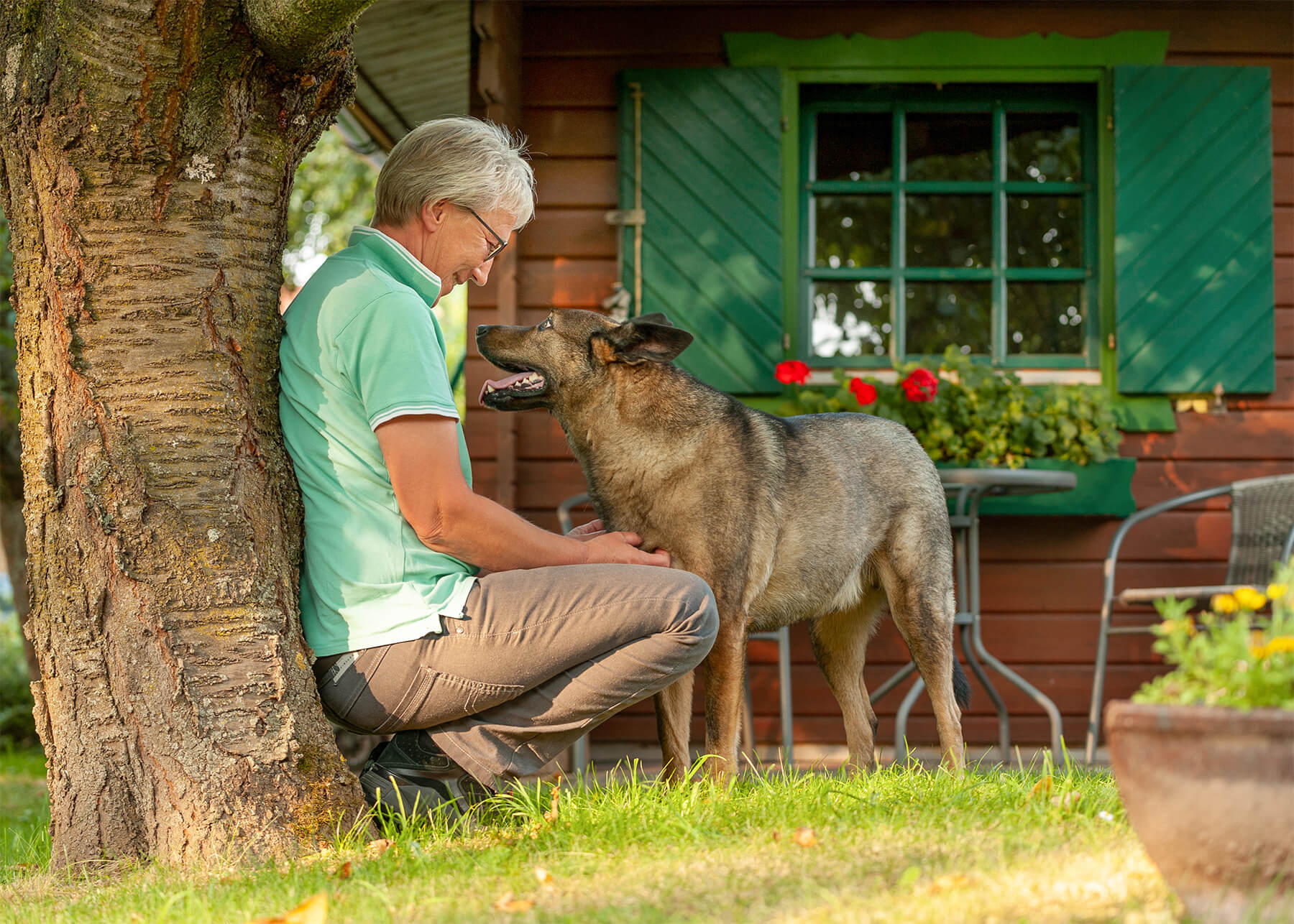 Tierkommunikation Und Gassi Gehen Service Renate Stremme 9119